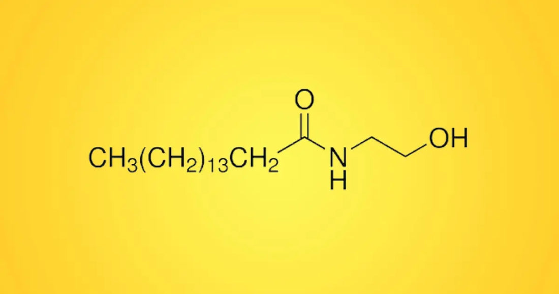 Understanding Palmitoylethanolamide (PEA)