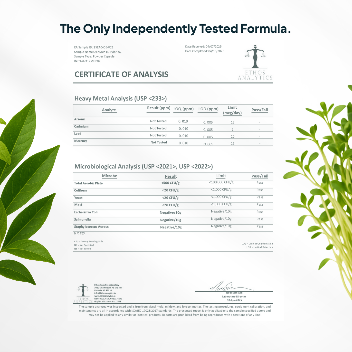 H. pylori Supplement Certificate of Analysis for a plant-based product with green leaves on a white background