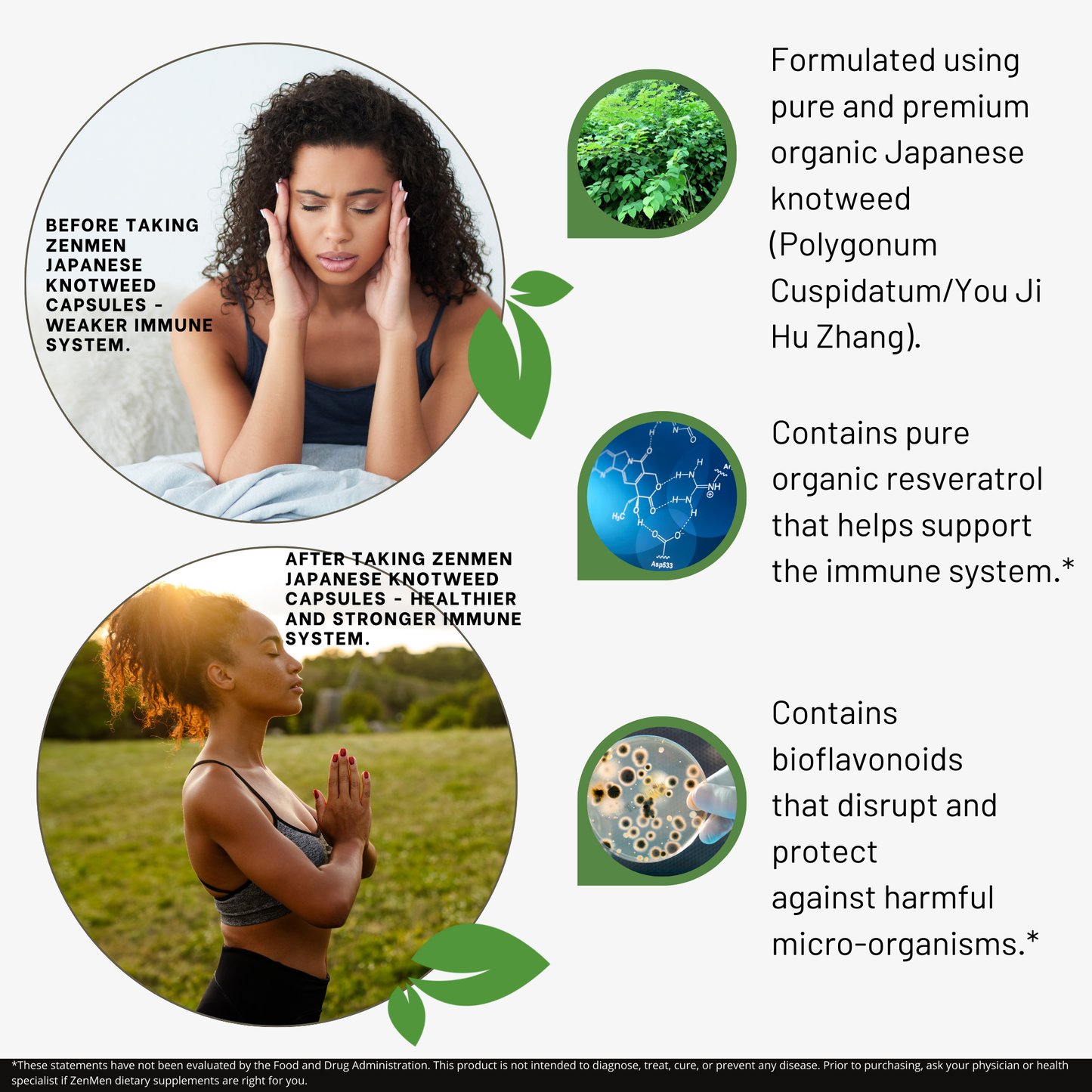 Japanese Knotweed Capsules