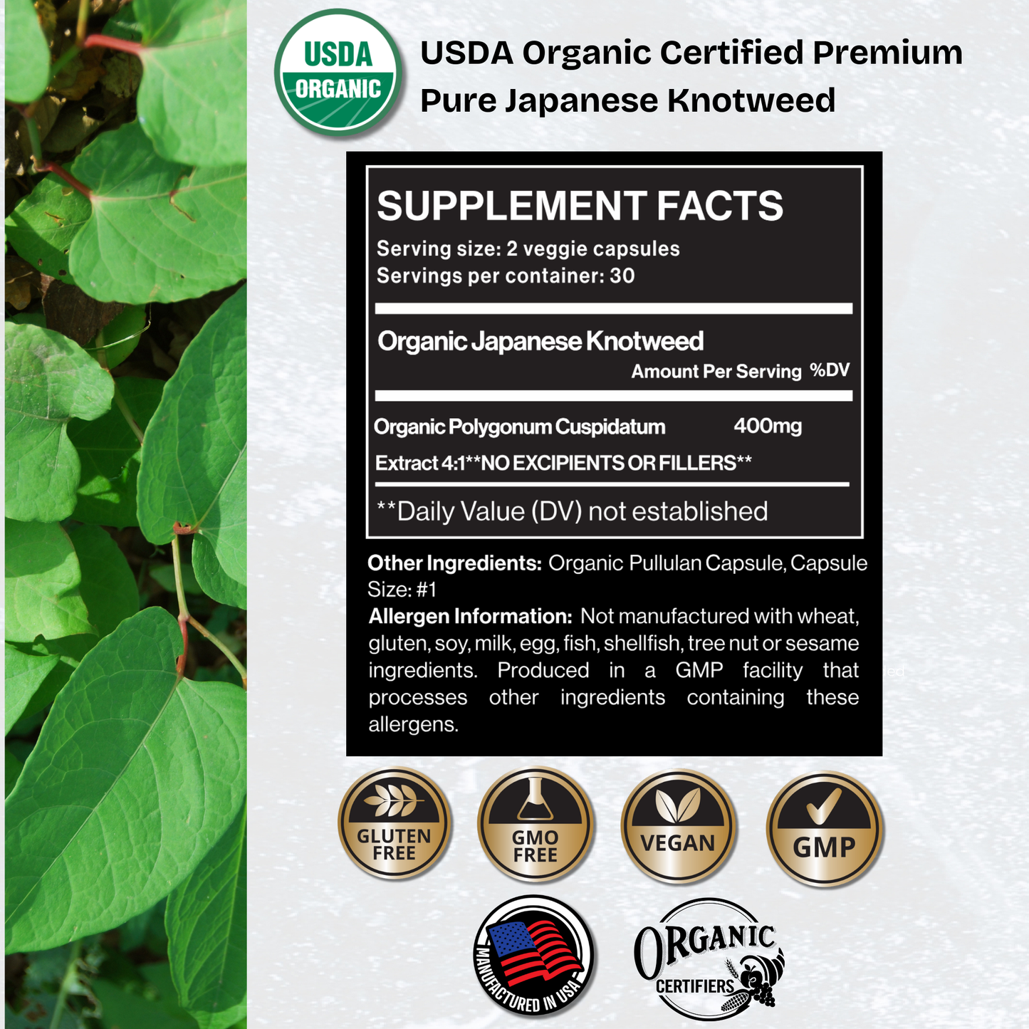Best Japanese Knotweed Supplement