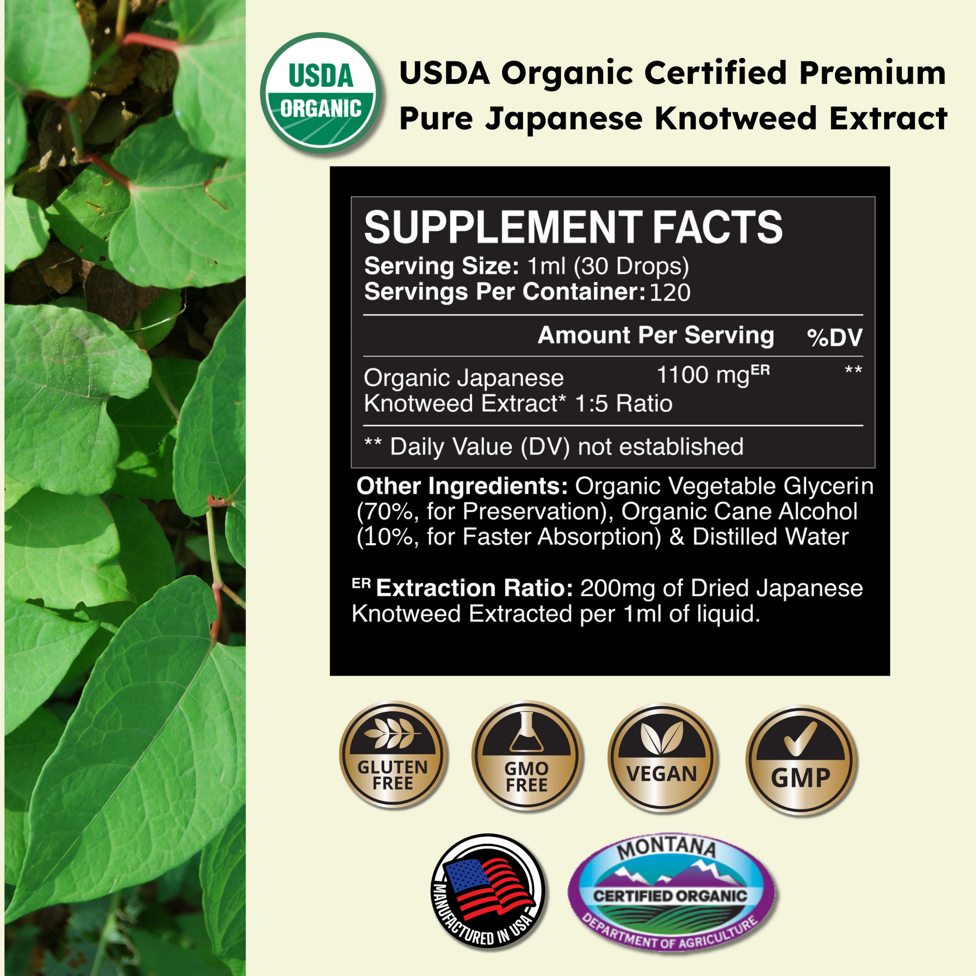 USDA Organic Certified Premium Pure Japanese Knotweed Extract supplement facts label with plant imagery.