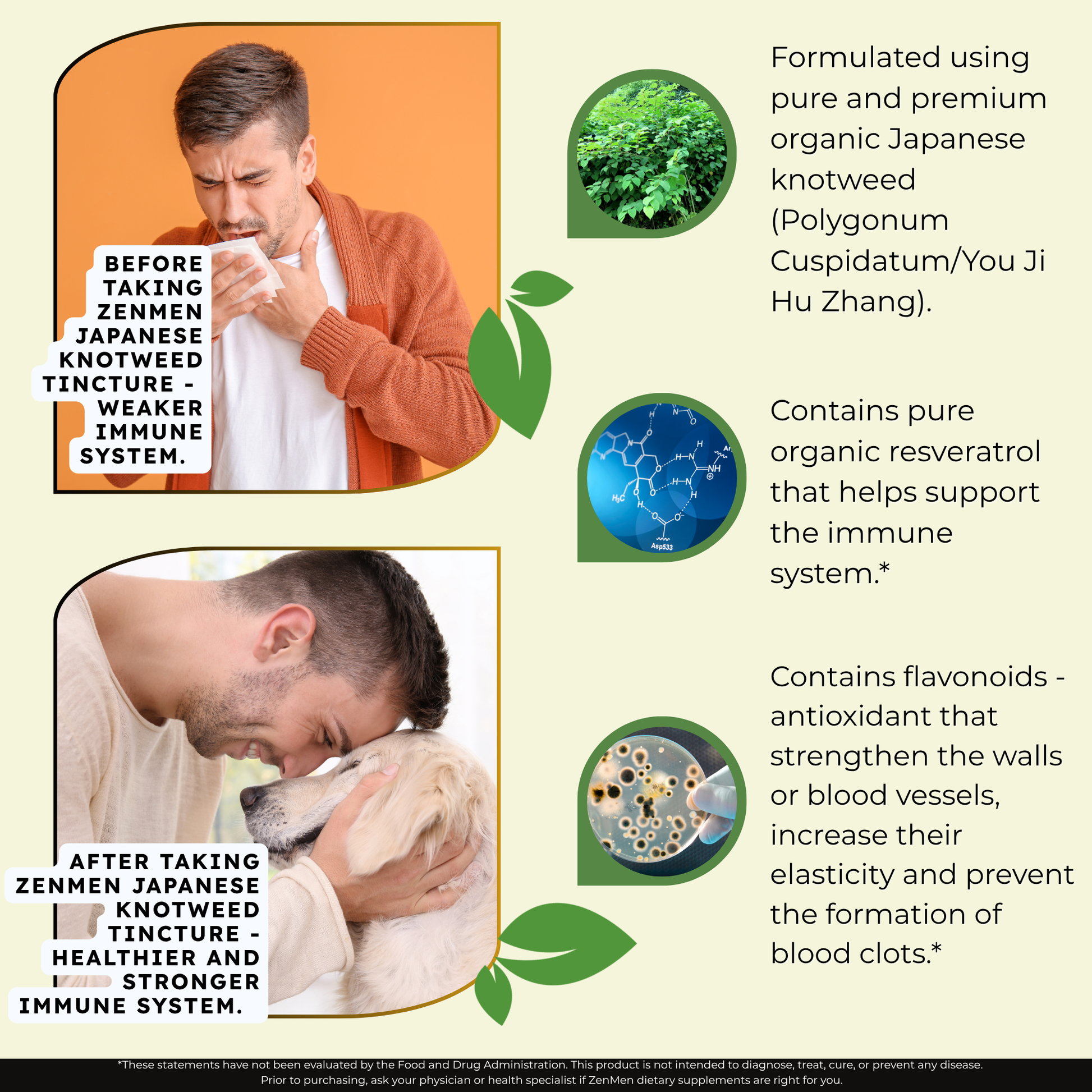 Advertisement for Zenmen Japanese Knotweed Tincture with before and after scenarios and product benefits.