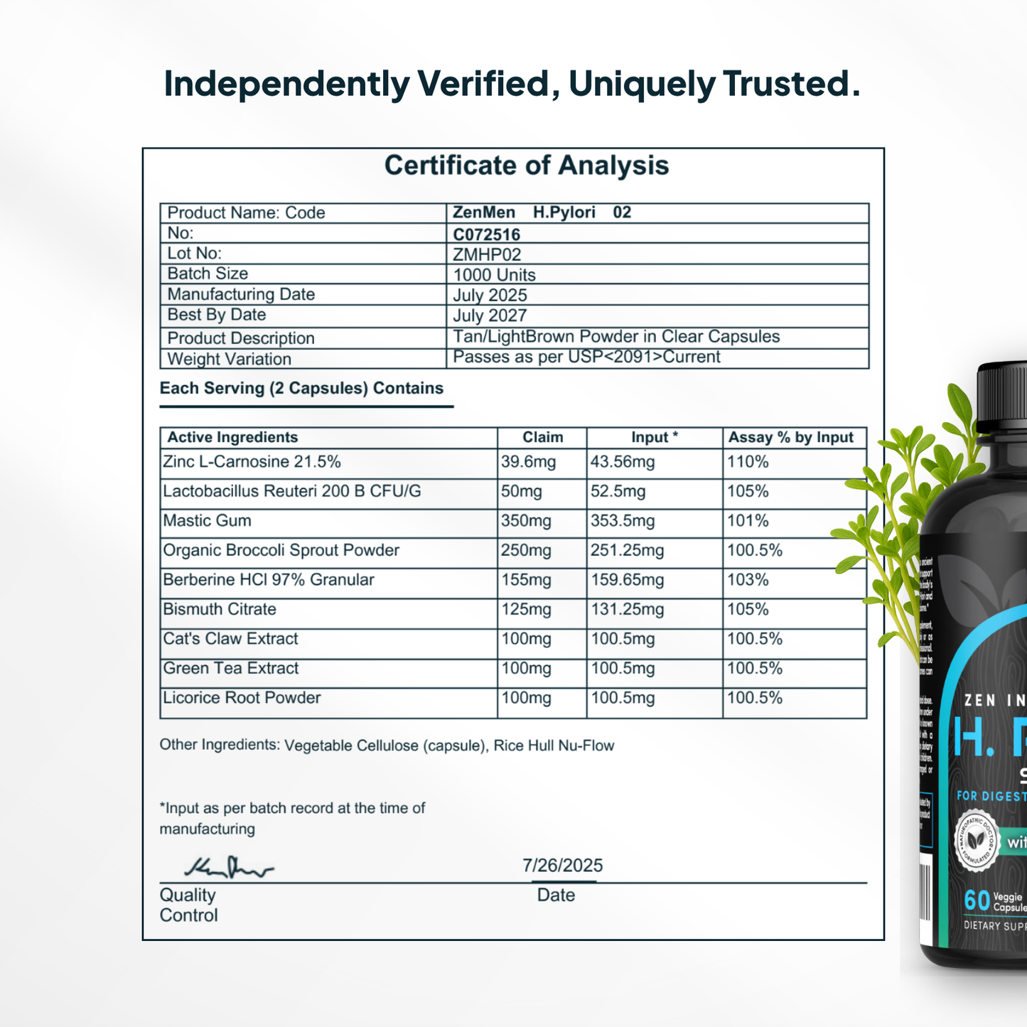 H. pylori Supplement Certificate of Analysis for a dietary supplement with a bottle in the background