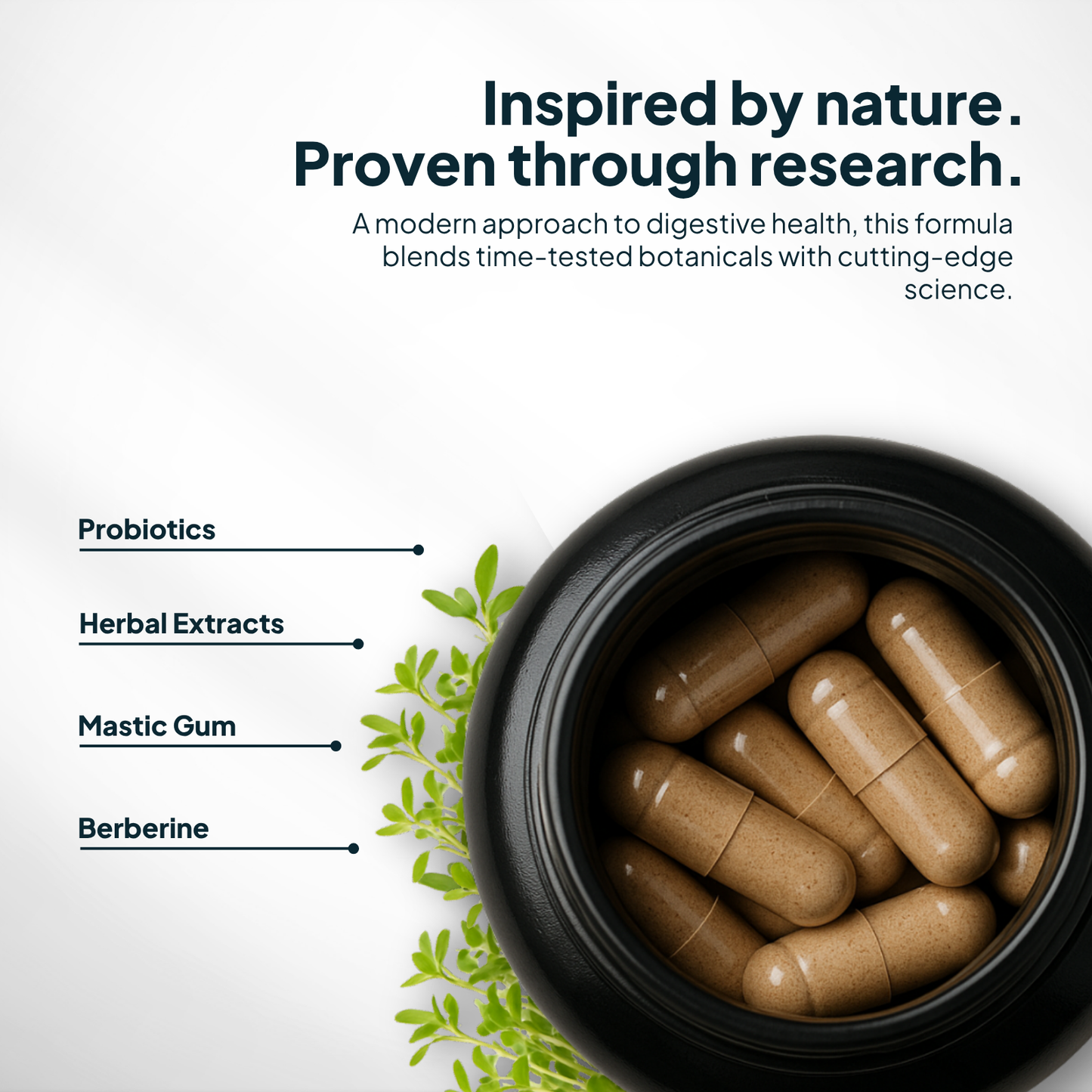 H. pylori Supplement capsules in a black container with text about digestive health and ingredients.