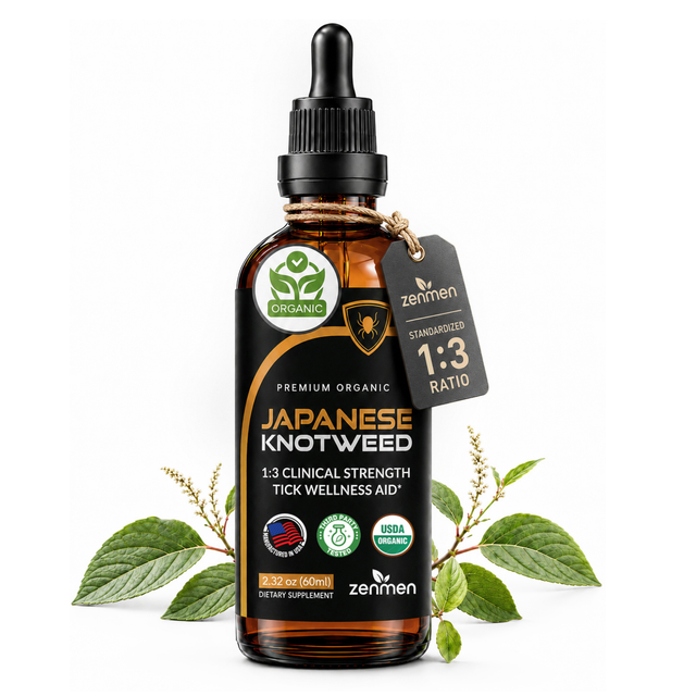 Japanese Knotweed Tincture