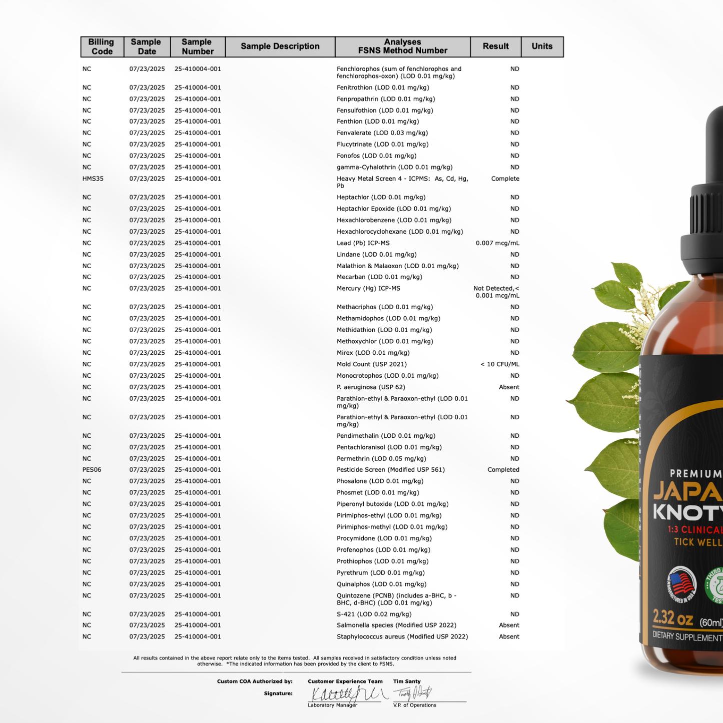 Japanese Knotweed Tincture