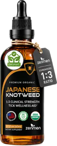 Japanese Knotweed