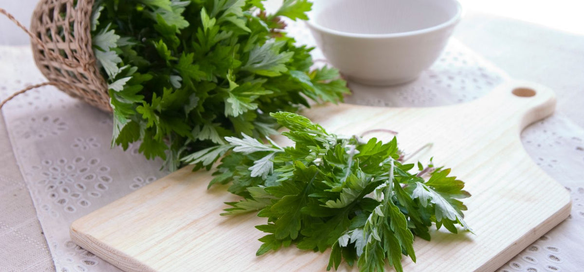 Sweet Wormwood