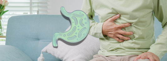 H. pylori: The Ancient Gut Invader We’re Still Getting Wrong