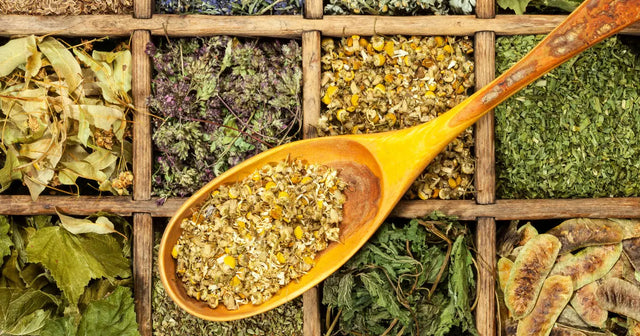 Herbs and Nutrients that can Provide Relief from Sciatica Pain