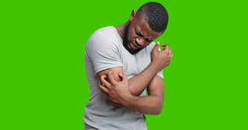 Zenmen Tick Immune Support: How Can It Help Me Manage Lyme Disease?