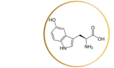 Product Ingredients