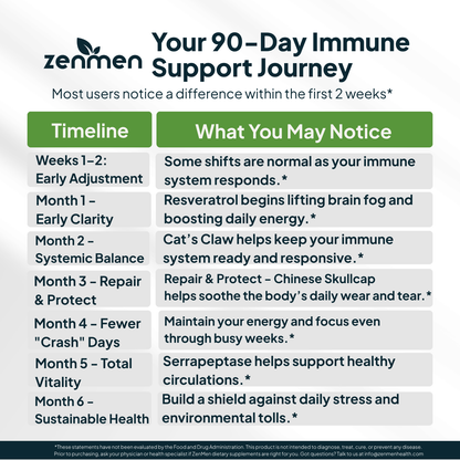 90-day immune support journey timeline showing benefits of Japanese Knotweed Resveratrol for brain fog, Cat's Claw for systemic balance, and Serrapeptase for vitality and sustainable health.