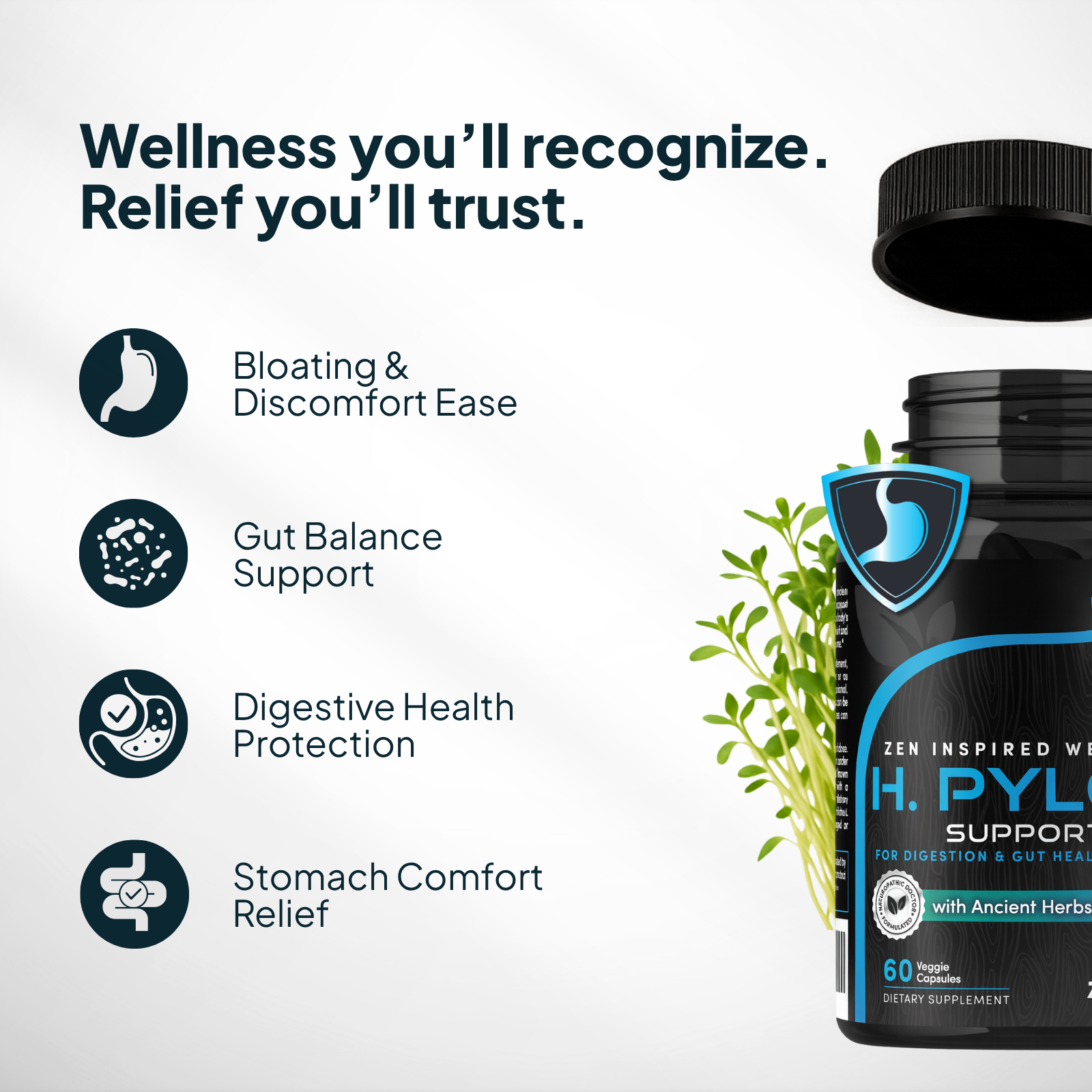 H. pylori Supplement bottle with text highlighting wellness benefits on a white background