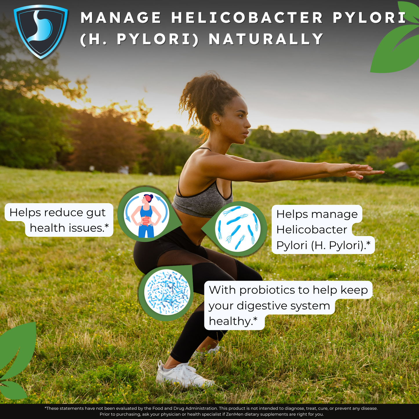 H. Pylori Supplement