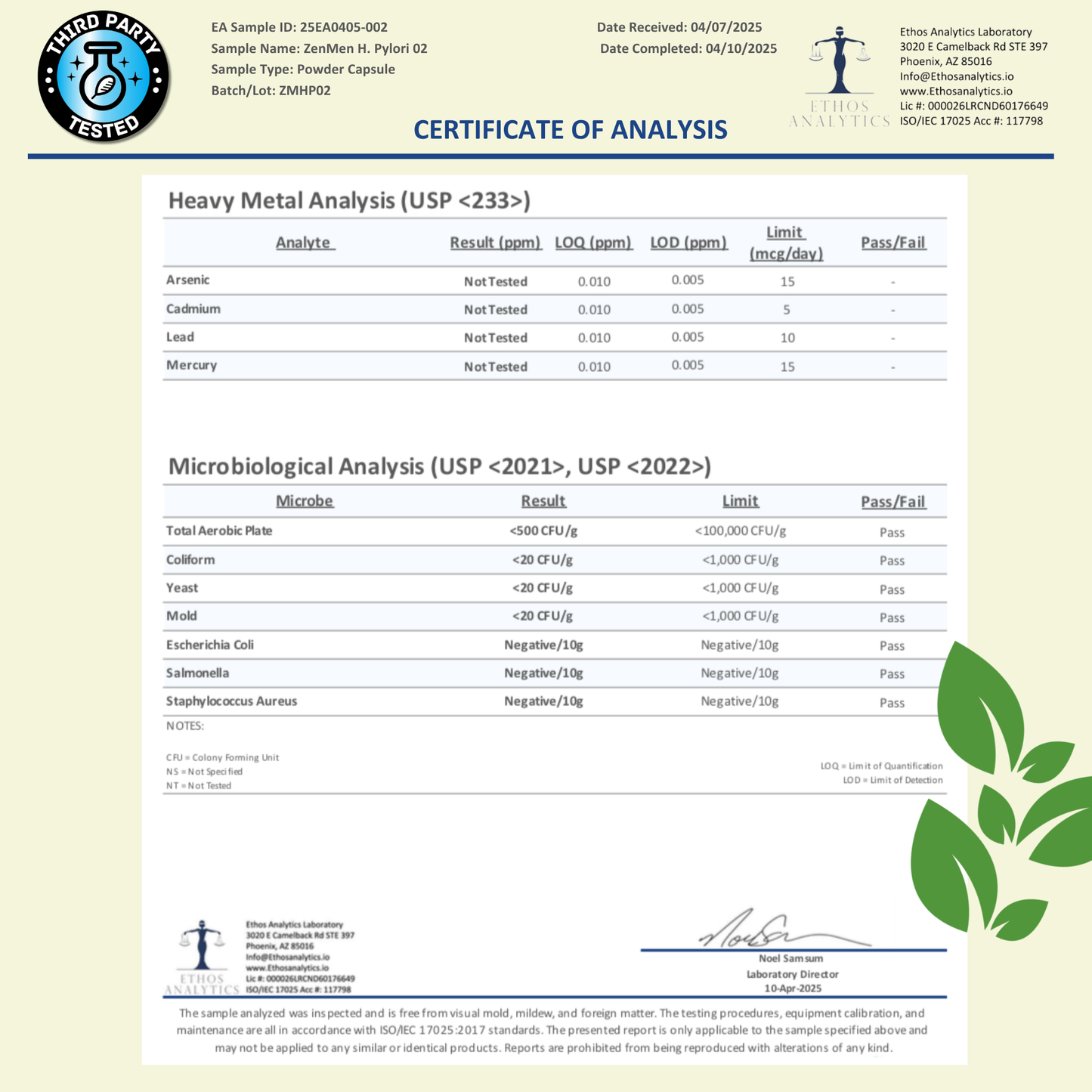 H. Pylori Supplement