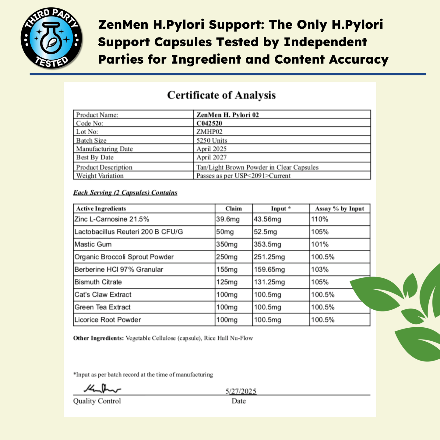 H. Pylori Supplement