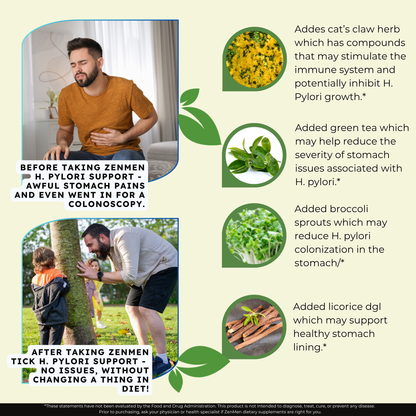 H. Pylori Supplement