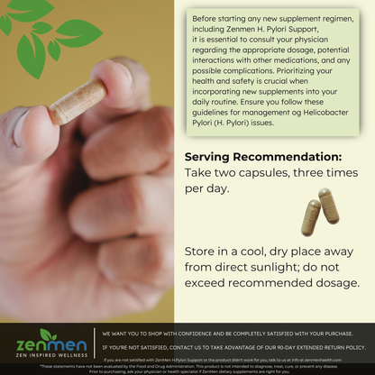 H. Pylori Supplement