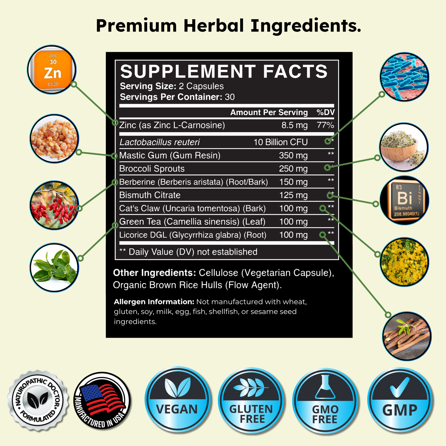 H. Pylori Supplement