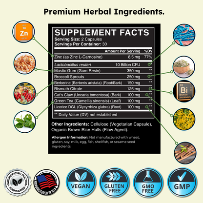 H. Pylori Supplement