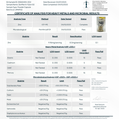 H. Pylori Supplement
