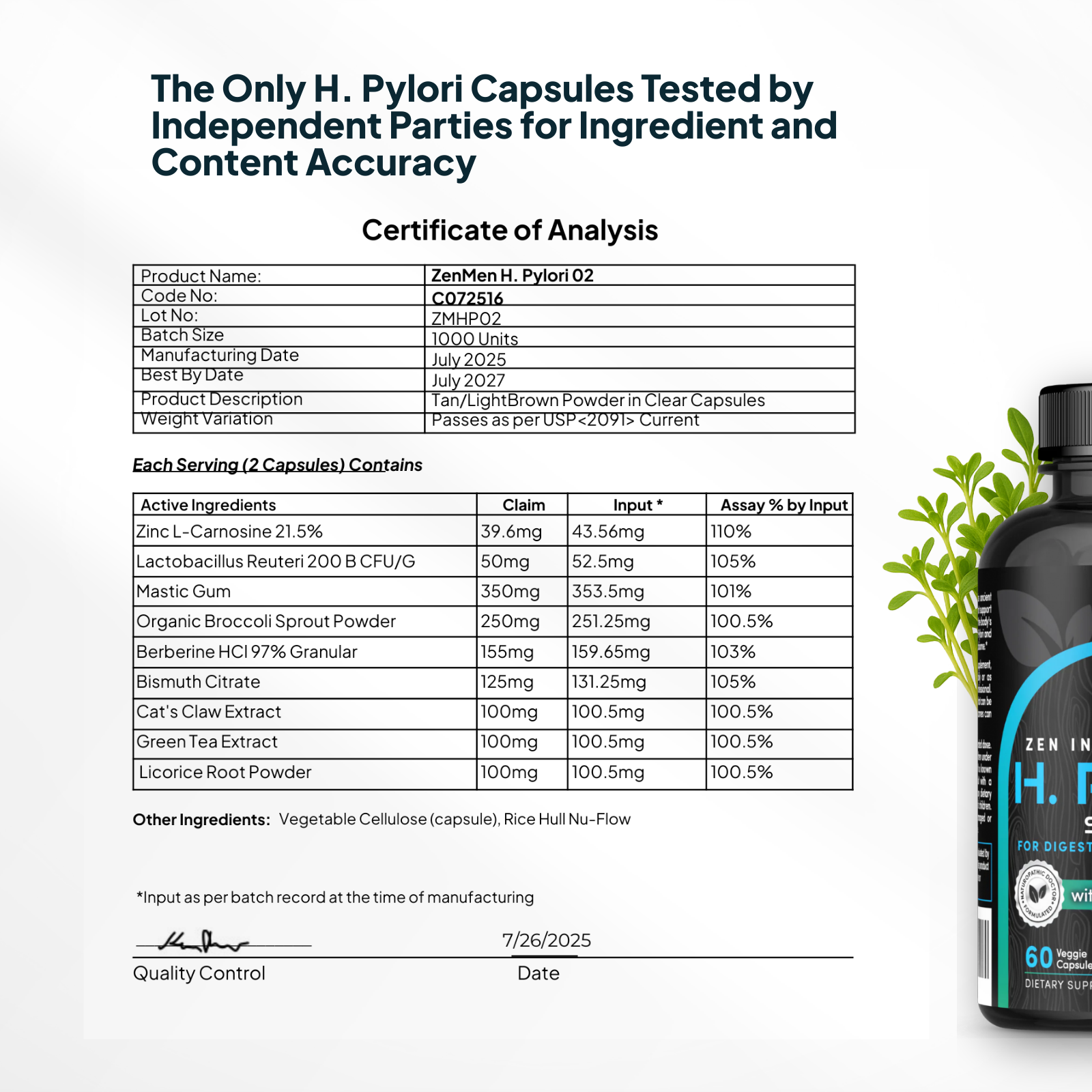 H. Pylori Supplement