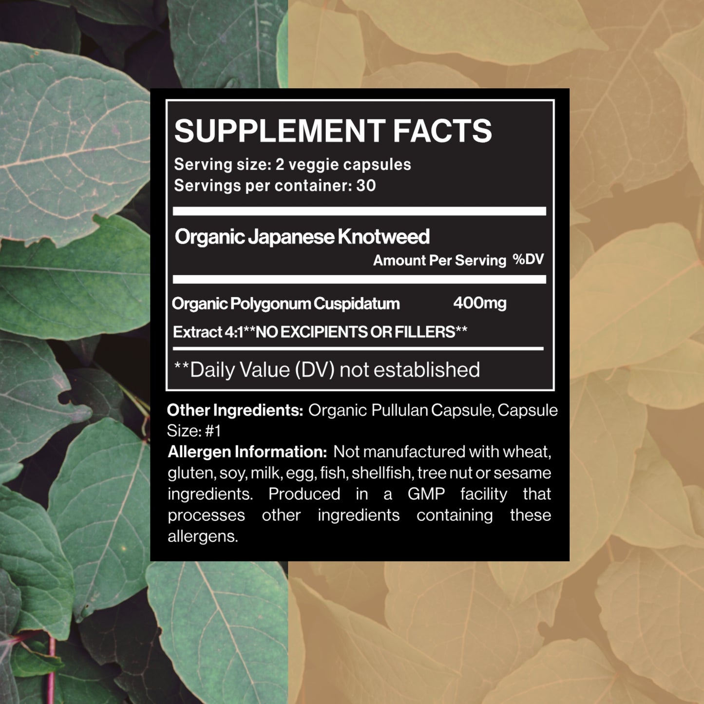 Japanese Knotweed Capsules