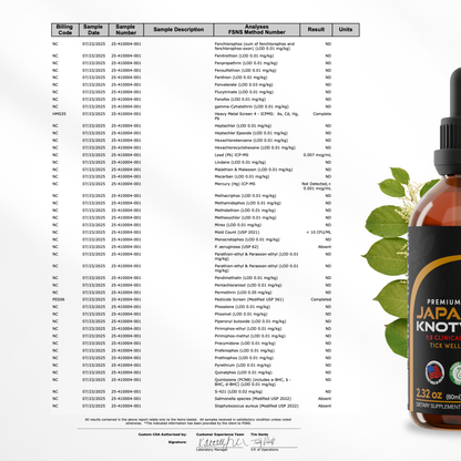 Japanese Knotweed Tincture