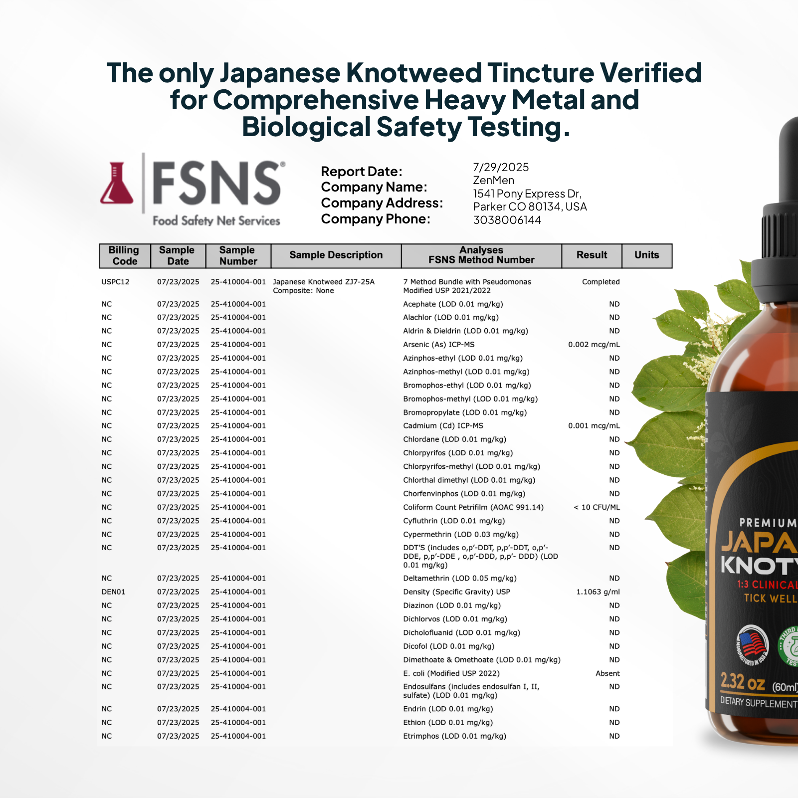 Japanese Knotweed Tincture