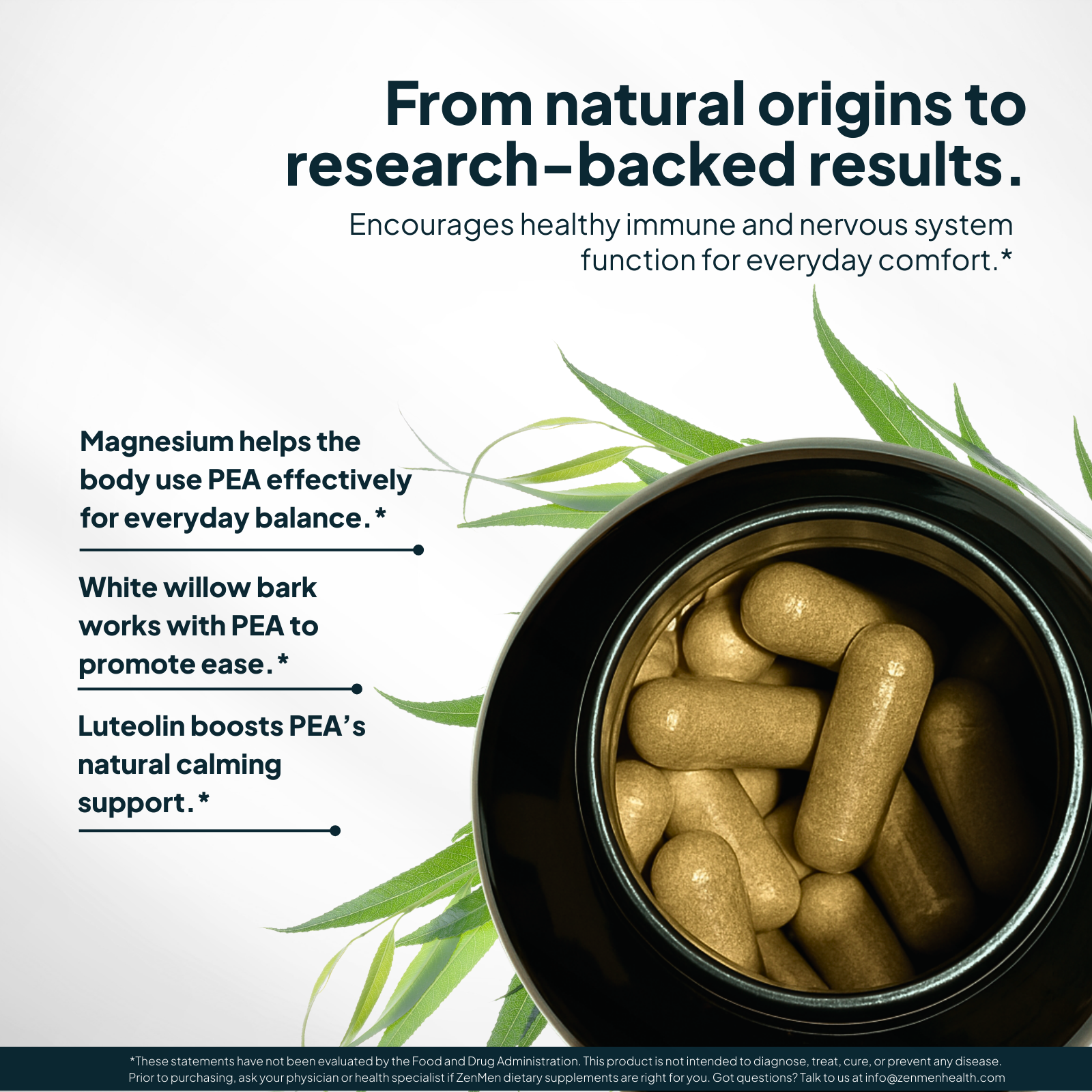 Palmitoylethanolamide