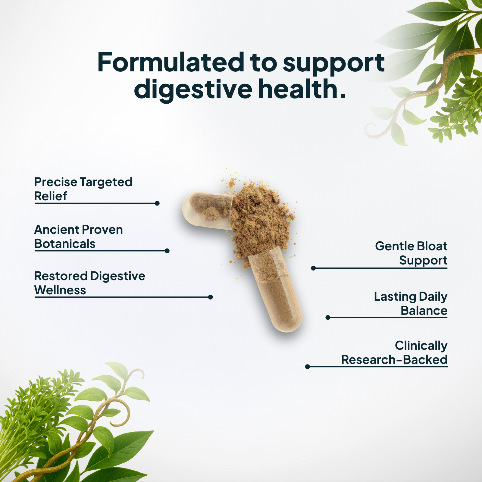 Product packaging with text highlighting digestive health benefits on a white background with green leaves.
