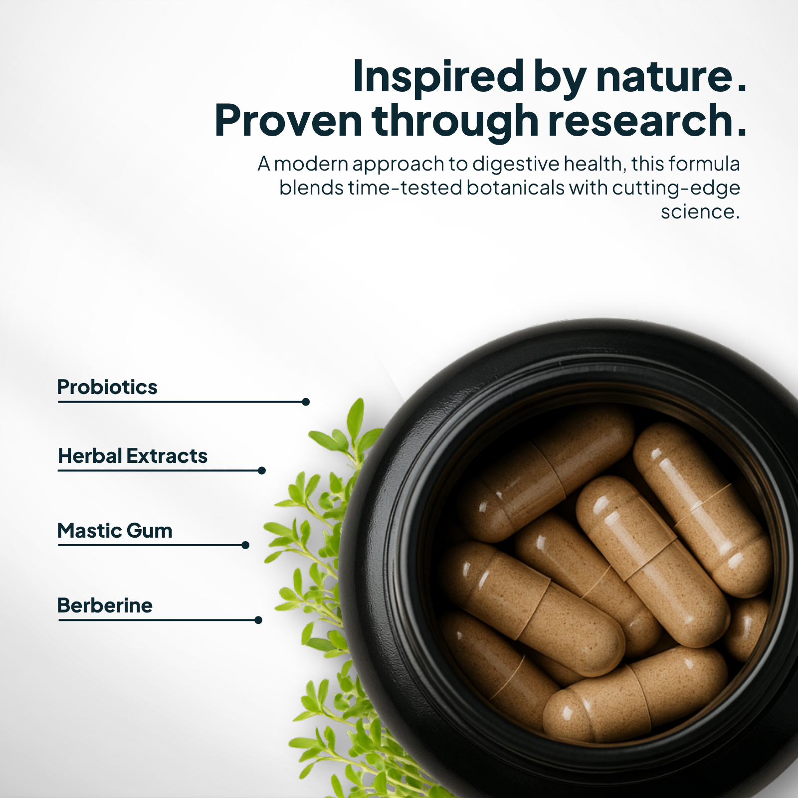 H. pylori Supplement capsules in a black container with text about digestive health and ingredients.