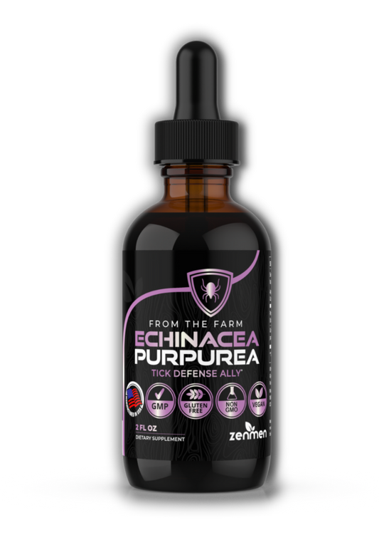 Echinacea Tincture