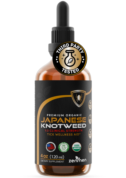 Japanese Knotweed Tincture