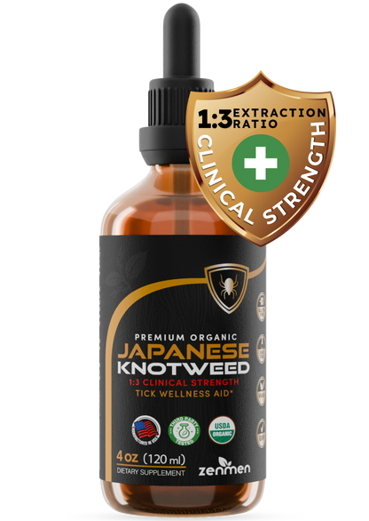 Japanese Knotweed Tincture