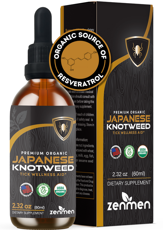 Japanese Knotweed Tincture