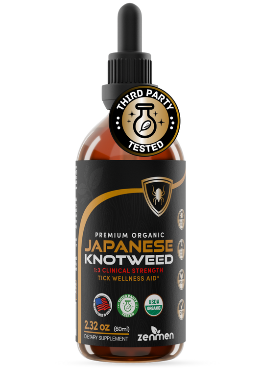 Japanese Knotweed Tincture