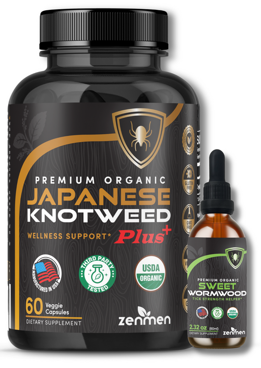 ZenMen Immune Support Bundle - Japanese Knotweed Capsules and Sweet Wormwood Tincture