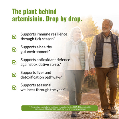 Promotional graphic of Zenmen Sweet Wormwood 60ml tincture with text about the plant behind artemisinin and benefits listed on the left, plus an elderly couple walking hand in hand on a sunlit path on the right. A green disclaimer banner appears at the bottom.