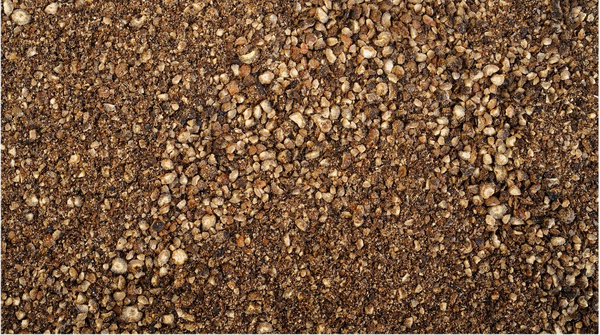 Black Pepper Extract (95% Piperine)