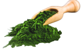 Product Ingredients