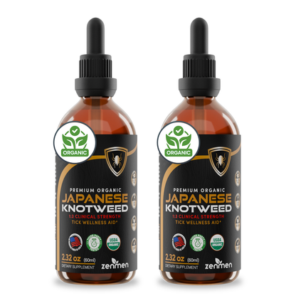 Japanese Knotweed Tincture