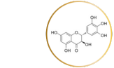 Product Ingredients