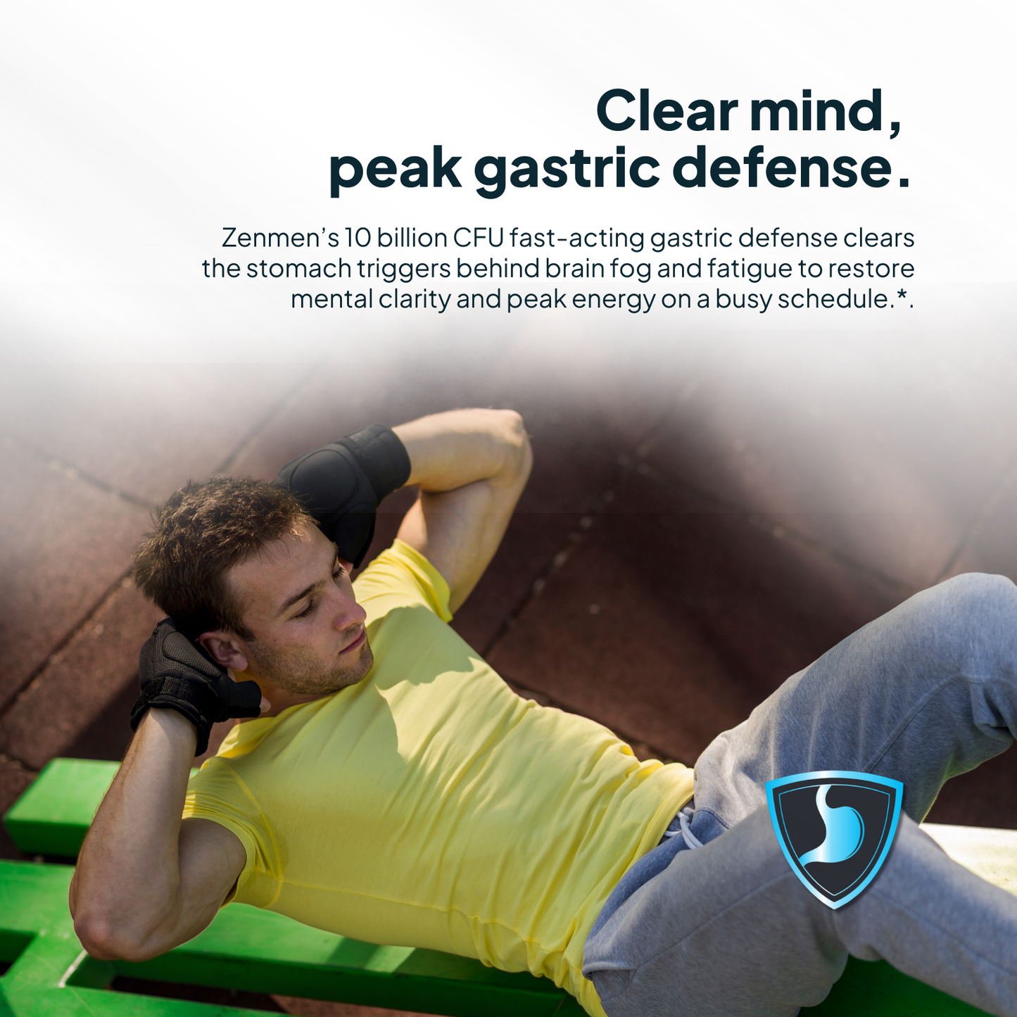 Zenmen H. Pylori Support Supplement