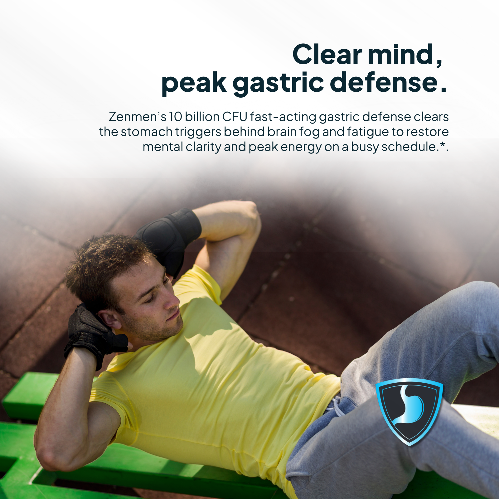 Zenmen H. Pylori Support Supplement