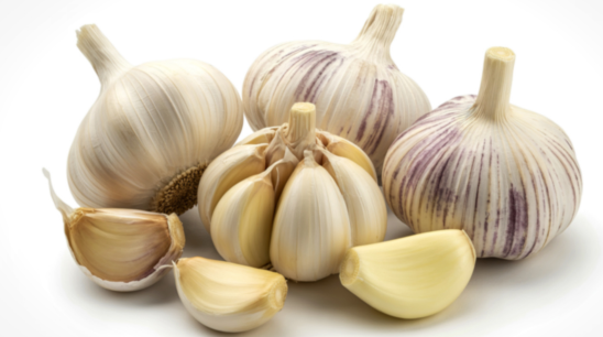 Garlic