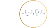 Product Ingredients