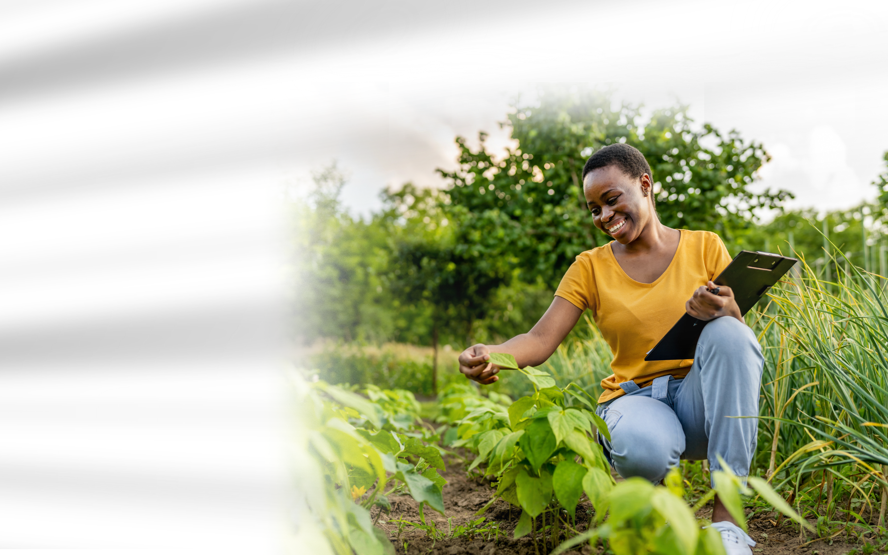 A woman researching and examining botanical plants in a vibrant garden. This image serves as the banner for a comprehensive Herb Reference Guide.