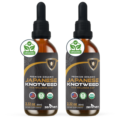 Japanese Knotweed Tincture